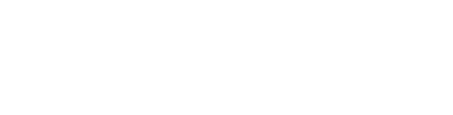 Goose E-Bikes